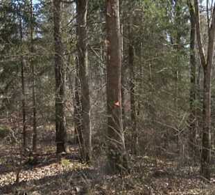 Historischer Rundwanderweg Aichtal