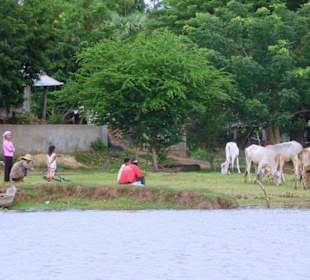 Am Ufer des Tonle Sap