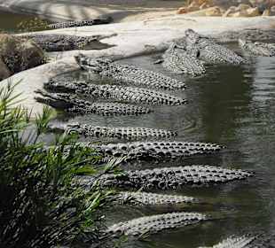 Hier können Frauen baden