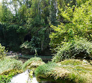In grüner Natur