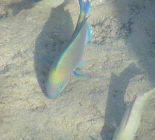 Фото с пирса