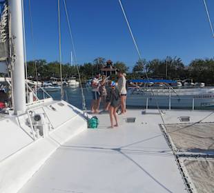 Zurück im Hafen von Bayahibe