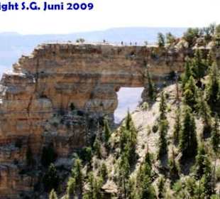 Am North Rim des Grand Canyon