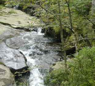 Wasserfall-Tour: Weg zu den Rißlochwasserfällen