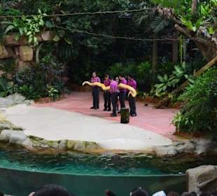 Singapur Zoo