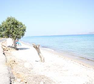 Strand am Hotel, 500m weiter gab es einen schöneren