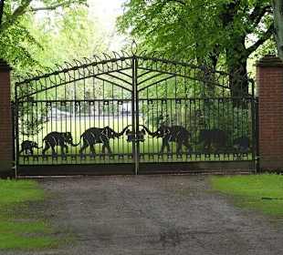 Tiere am Lieferanteneingang