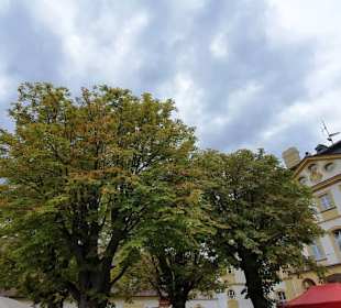 Der Innenhof mit den Eichen