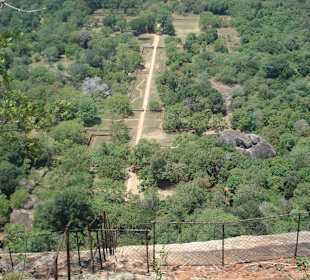 Blick von Sigiriya