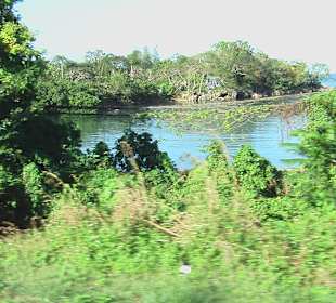 Landschaftsaufnahme nach Montego Bay