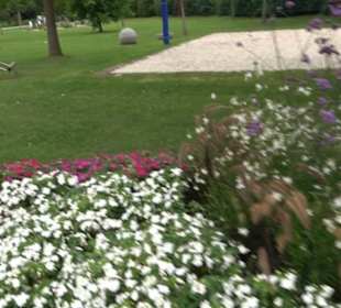 Blühendes Neresheim