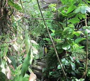 Das Schmetterlingshaus Villa Garzoni