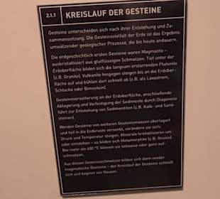 Museum für Naturkunde