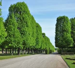 Impressionen aus den Herrenhäuser Gärten