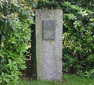 Torell-Stein im Chemnitzer Stadtpark