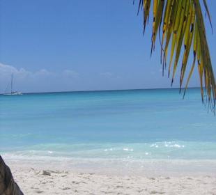 Karibik pur!