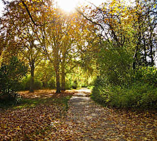 Парк Замка Ойтин.Золотая осень.