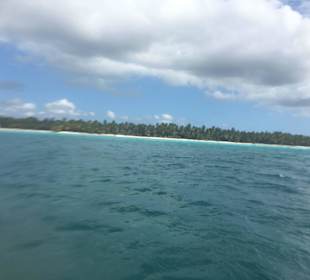 Saona