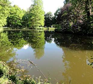 Die Teiche des Park Schönfeld