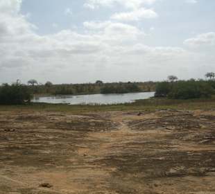 Tsavo Ost