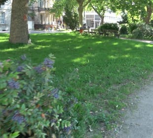 Stadtgarten Heidelberg