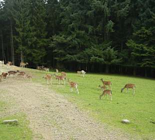 Aussicht während der Fahrt