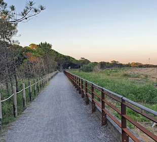 Langgezogene Teilstücke