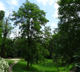 Höhenpark Killesberg