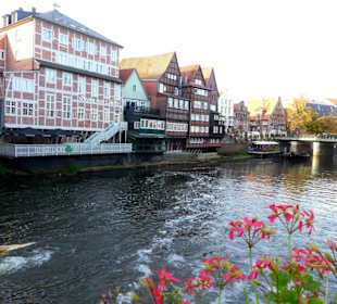 Schöne Gebäude an der Ilmenau 