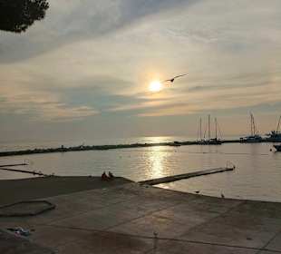 Yachthafen Novigrad