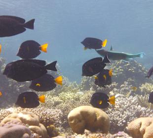 Ausflug mit Joseph&Marlen