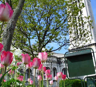 Frühling hinterm Sacre Ceur