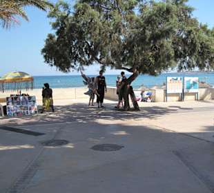 Strand von Cala Millor