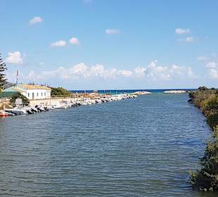 Naturpark S'Albufera