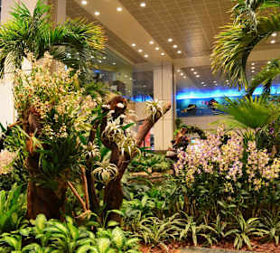 Flughafen Singapur Changi (SIN)