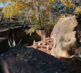 Zoologischer Garten Prag