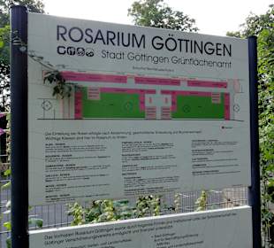 Infotafel des Rosariums Göttingen