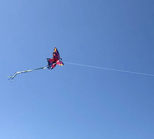 Drachensteigen am Guincho
