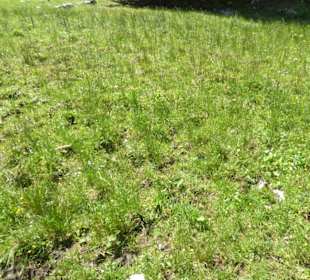 Valepper-Almen-Rundwanderung