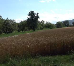 Hochgehnießen - Premiumspazierwanderweg