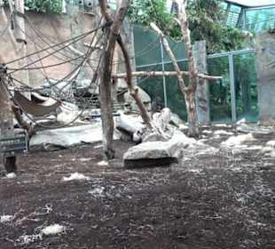 Tierpark Hellabrunn - Welt der Affen