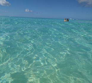 Isla Saona