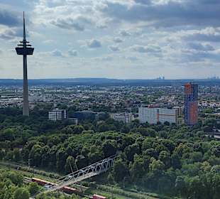 Ausblick