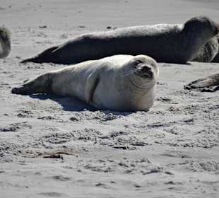 Wandern Helgoland