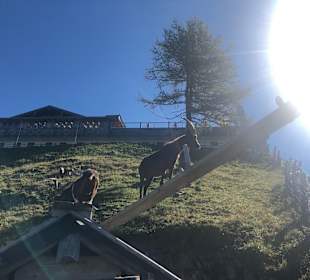 Wandern St. Johann im Pongau