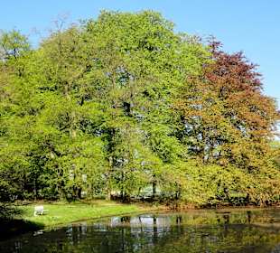 Impressionen aus dem Park Höpkensruh