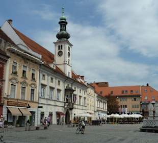 Rathaus und Pestsäule