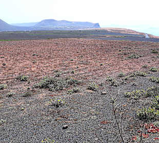 Der Weg ist das Ziel