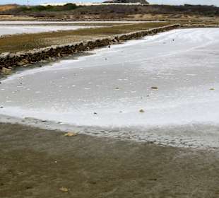 Impressionen von den Salzflächen