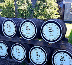 Kavalan Whisky Distillery 
